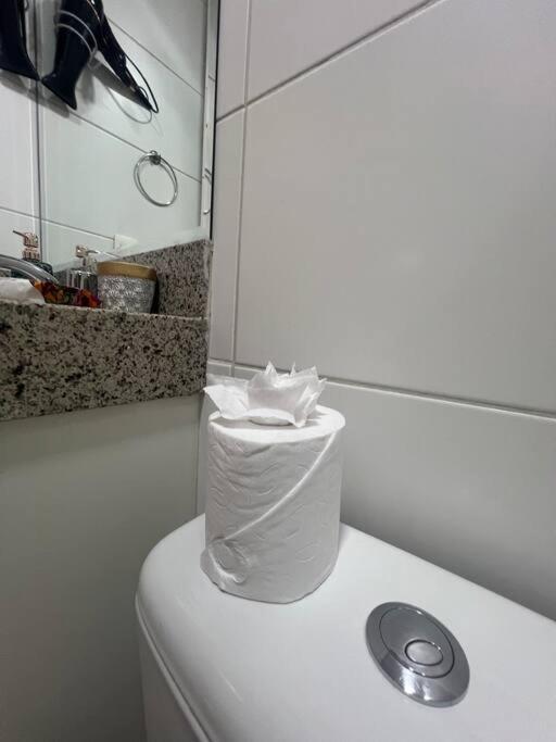 Lindo Dentro Do Shopping